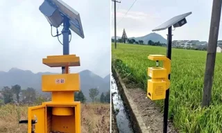 Solar-Powered Fan-Suction Insect Lamp