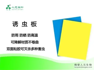 Yellow and Blue Sticky Insect Traps