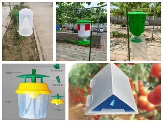 Pheromone Insect Trap