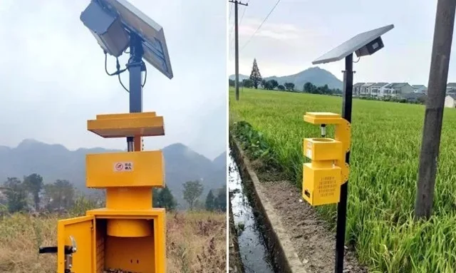 Solar-Powered Fan-Suction Insect Lamp